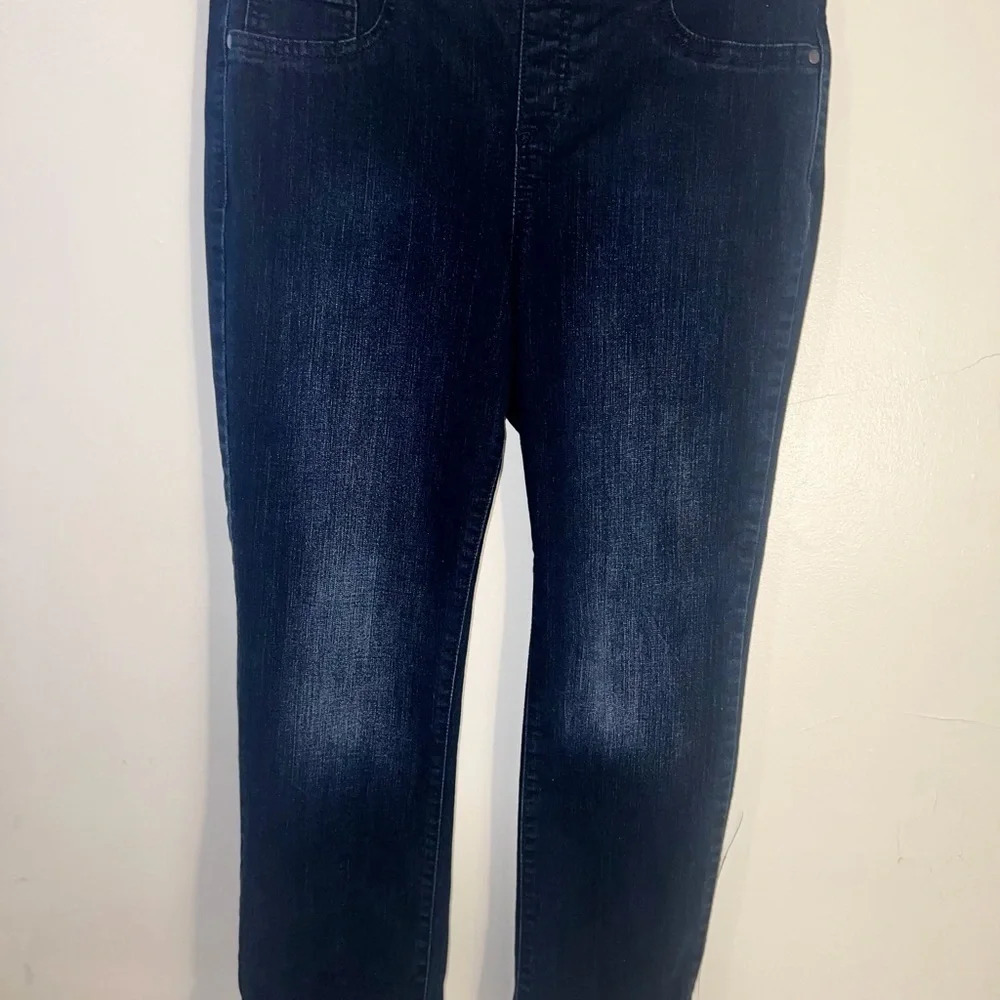 kim rogers blue jean 8s 56%‎ cotton 25% polyester 10% viscose 1% Lycra L=34.5"
